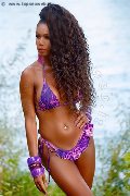 Foto Paula Xxl Annunci Sexy Trans Cannes 3762961336 - 31