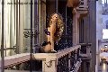 Foto Rayca Annunci Sexy Trans San Gallo 3485638746 - 256