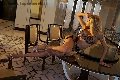 Foto Rebecca Ferraz Pornostar Annunci Sexy Trans Roma 3494107593 - 15