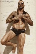 Foto Robby Torello Annunci Sexy Boy Pisa 3341579418 - 18