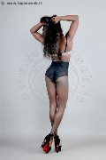 Foto Safira Snt'z  Annunci Sexy Trans Alba Adriatica 3278243596 - 49