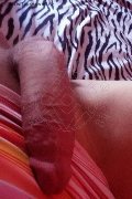 Isernia Trans Escort Alessandra Dior 371 52 12 112 foto selfie 88