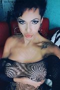 Vercelli Trans Escort Deborah Myers 388 83 84 107 foto selfie 3