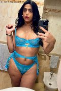 Novara Trans Gabriella Rios 392 66 55 253 foto selfie 8