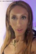 Legnano Trans Escort Leyla 338 33 98 084 foto selfie 22