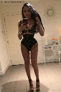 Bruxelles Trans Escort Michelly Araujo Pornostar  0032496894479 foto selfie 4