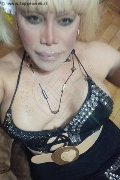Milano Trans Escort Nicole Vip Venturiny 353 35 38 868 foto selfie 133