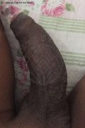 Milano Trans Paula Xxl 376 29 61 336 foto selfie 32