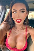 Verona Trans Escort Thayys Castro 329 72 89 046 foto selfie 20