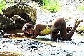 Foto Sexy Venere Nera Annunci Sexy Trans Aosta 3283286338 - 9