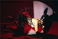 Foto Vanessa Hilton Annunci Sexy Trans Modena 3245846577 - 132