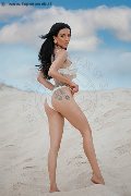 Foto Vanessa Hilton Annunci Sexy Transescort Modena 3245846577 - 103