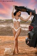 Foto Vanessa Hilton Annunci Sexy Transescort Modena 3245846577 - 112