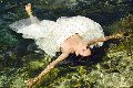 Foto Victoria Luxo Annunci Sexy Transescort Ginevra 0041766140309 - 63