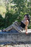 Foto Adriana Paulett Annunci Sexy Transescort 3891399263 - 319