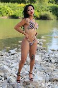 Foto Adriana Paulett Annunci Sexy Transescort 3891399263 - 388