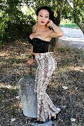 Foto Adriana Paulett Annunci Sexy Transescort 3891399263 - 309