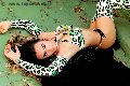 Foto Bella Solare Annunci Sexy Transescort Giussano 3347416269 - 23
