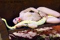 Foto Belovie Annunci Sexy Trans Lido Di Camaiore 3533134168 - 4