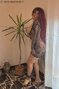 Foto Carolina Sexy Annunci Sexy Trans Siena 3486599498 - 10