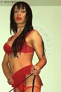 Foto Delizia Annunci Sexy Transescort Vercelli 3775990608 - 20