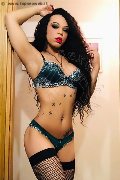 Foto Dior Annunci Sexy Trans Genova 3472825420 - 385