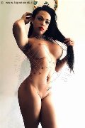 Foto Dior Annunci Sexy Transescort Genova 3472825420 - 594