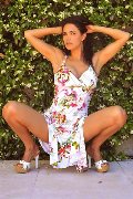 Foto Elodie Annunci Sexy Escort Vercelli 3713942459 - 1