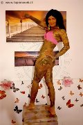 Foto Evelyn Annunci Sexy Trans Marina Di Montemarciano 3318830858 - 44