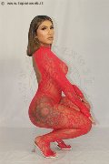 Foto Gabyzinha Annunci Sexy Transescort Firenze 3520298736 - 15