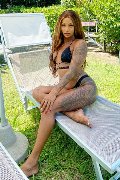 Foto Hillary Brasiliana Annunci Sexy Transescort Alba Adriatica 3384136322 - 43