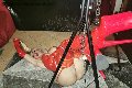 Foto Mistress Laura Annunci Sexy Mistresstrans Roma 3208356177 - 16