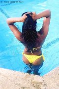 Foto Naomy Xl Annunci Sexy Transescort Bologna 3290167932 - 147