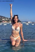 Foto Nick Miller Annunci Sexy Transescort Verona 3382945956 - 84