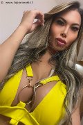 Napoli Trans Escort Dafne Pornostar 380 14 22 205 foto selfie 16