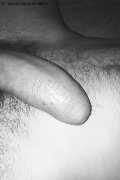 Prato Trans Lucrezia Hikman 351 29 44 990 foto selfie 88