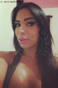 Vercelli Trans Escort Rayla Rios 329 38 77 403 foto selfie 39