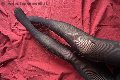 Venezia Escort Tiny Mouse 328 46 90 312 foto selfie 26