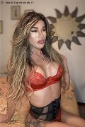 Foto Sofia Annunci Sexy Trans Milano 3473029531 - 9