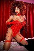 Foto Stella Annunci Sexy Transescort Milano 3295563971 - 11